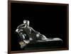 Paolina Borghese as Venus Victrix-Antonio Canova-Framed Photographic Print