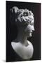 Paolina Borghese as Venus Victrix-Antonio Canova-Mounted Giclee Print