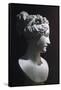 Paolina Borghese as Venus Victrix-Antonio Canova-Framed Stretched Canvas