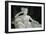 Paolina Borghese as Venus Victrix-Antonio Canova-Framed Giclee Print