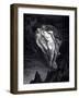 Paolo and Francesca in the whirlwind of lust and torture. From The Divine Comedy by Dante Alighieri-Gustave Dore-Framed Giclee Print