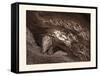 Paolo and Francesca-Gustave Dore-Framed Stretched Canvas
