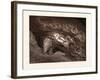 Paolo and Francesca-Gustave Dore-Framed Giclee Print