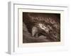 Paolo and Francesca-Gustave Dore-Framed Giclee Print