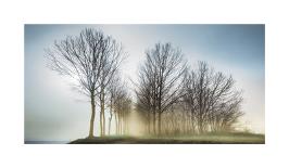 Twilight Silhouettes-Paolo De Faveri-Framed Giclee Print