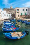 Rows of blue wooden boats in the water of the harbour of Monopoli old town, Monopoli, Bari province-Paolo Graziosi-Photographic Print
