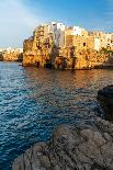 Rows of blue wooden boats in the water of the harbour of Monopoli old town, Monopoli, Bari province-Paolo Graziosi-Photographic Print