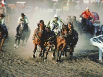 Chuck Wagon Race, Calgary Stampede, Alberta, Canada-Paolo Koch-Laminated Photographic Print