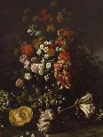 Still Life with Flowers, Fruit, Mushrooms and Birds-Paolo Porpora-Giclee Print