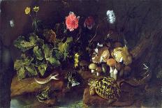 Still Life with Flowers, Fruit, Mushrooms and Birds-Paolo Porpora-Giclee Print