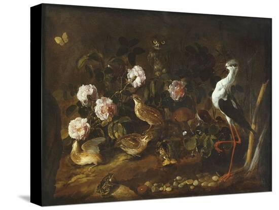 Stretched Canvas Print, , large