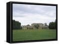 Framed Canvas