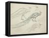 Paons de profil-Eugène Samuel Grasset-Framed Stretched Canvas
