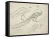 Paons de profil-Eugène Samuel Grasset-Framed Stretched Canvas