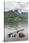 Paopao Bay, Moorea, Society Islands, French Polynesia, Pacific-Michael Runkel-Stretched Canvas
