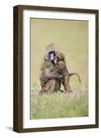 Papa's Boy-Susann Parker-Framed Photographic Print