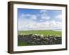 Papa Westray, Orkney islands, Scotland.-Martin Zwick-Framed Premium Photographic Print