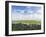 Papa Westray, Orkney islands, Scotland.-Martin Zwick-Framed Premium Photographic Print