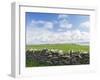 Papa Westray, Orkney islands, Scotland.-Martin Zwick-Framed Premium Photographic Print