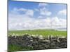 Papa Westray, Orkney islands, Scotland.-Martin Zwick-Mounted Premium Photographic Print