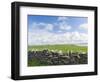 Papa Westray, Orkney islands, Scotland.-Martin Zwick-Framed Photographic Print