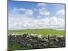 Papa Westray, Orkney islands, Scotland.-Martin Zwick-Mounted Photographic Print