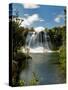 Papakorito Falls at Aniwaniwa, Lake Waikaremoana, North Island, New Zealand-Don Smith-Stretched Canvas