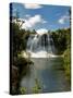 Papakorito Falls at Aniwaniwa, Lake Waikaremoana, North Island, New Zealand-Don Smith-Stretched Canvas