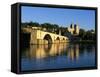 Papal Palace, Bridge and the River Rhone, Avignon, Provence, France-John Miller-Framed Stretched Canvas