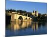 Papal Palace, Bridge and the River Rhone, Avignon, Provence, France-John Miller-Mounted Photographic Print