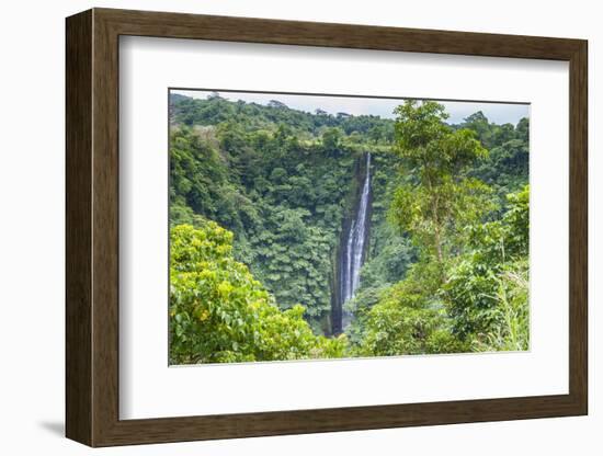 Papapapai-Tai Falls, Upolu, Samoa, South Pacific, Pacific-Michael Runkel-Framed Photographic Print