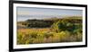 Papatowai, Catlins, Otago, South Island, New Zealand-Rainer Mirau-Framed Photographic Print