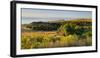 Papatowai, Catlins, Otago, South Island, New Zealand-Rainer Mirau-Framed Photographic Print