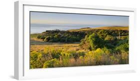 Papatowai, Catlins, Otago, South Island, New Zealand-Rainer Mirau-Framed Photographic Print