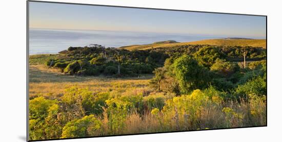 Papatowai, Catlins, Otago, South Island, New Zealand-Rainer Mirau-Mounted Photographic Print