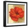 Papaver II-Pamela Gladding-Framed Art Print