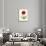 Papaver Rhoeas, Red Poppy-null-Stretched Canvas displayed on a wall