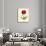 Papaver Rhoeas, Red Poppy-null-Giclee Print displayed on a wall