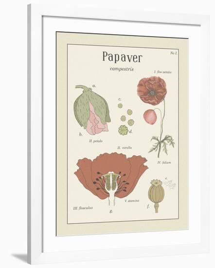 Papaver-Maria Mendez-Framed Giclee Print