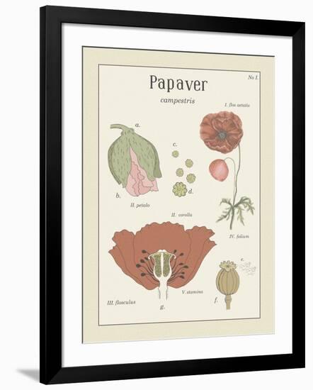 Papaver-Maria Mendez-Framed Giclee Print
