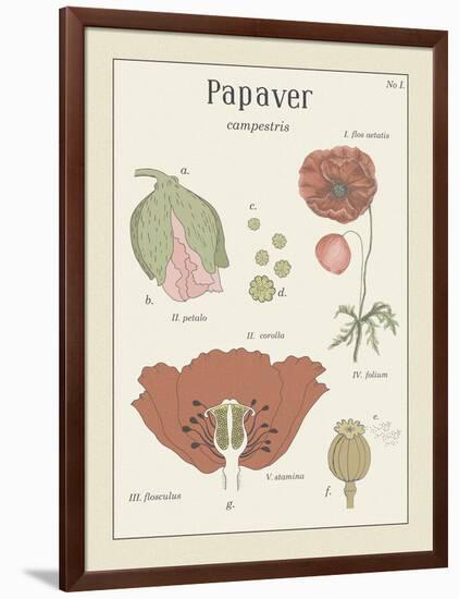 Papaver-Maria Mendez-Framed Giclee Print