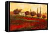 Papaveri Toscana II-Guido Borelli-Framed Stretched Canvas