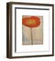 Papavero-Linda Maron-Framed Art Print