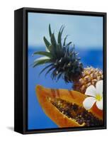 Papaya and Pineapple-Vladimir Shulevsky-Framed Stretched Canvas