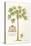 Papaya Tree-Porter Design-Stretched Canvas