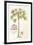 Papaya Tree-Porter Design-Framed Giclee Print