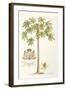 Papaya Tree-Porter Design-Framed Giclee Print