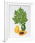 Papaya-Marion Sheehan-Framed Collectable Print