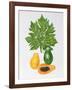 Papaya-Marion Sheehan-Framed Collectable Print