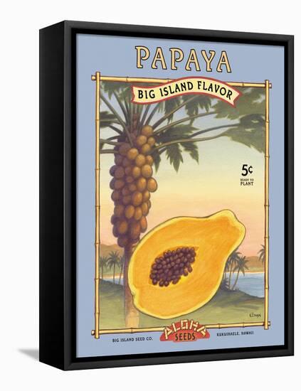 Papaya-Kerne Erickson-Framed Stretched Canvas